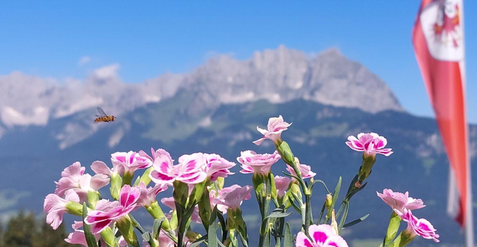 Chalet Terry St. Johann in Tirol Kültér fotó